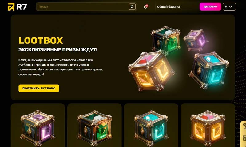 Специальные предложения